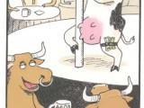 CowTitsReal.jpg