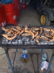 IMG_20251122_145554.jpg