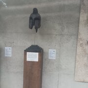IMG_20250513_170547.jpg