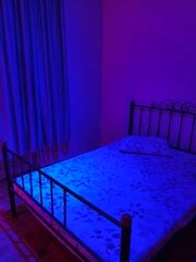 IMG_20260321_172417.jpg