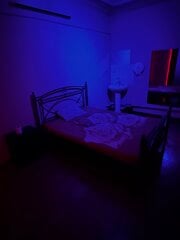 IMG_1465.jpeg