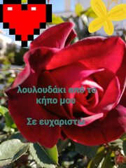 IMG-cc938588d68ecb630a13874ddb2bd59e-V.jpg
