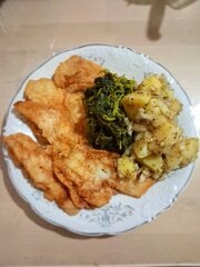 20260522_182049.jpg