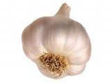 garlic.jpg