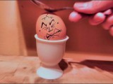 funny-eggs-2.jpg