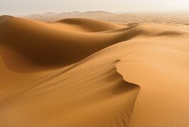 IMG_8550.jpeg