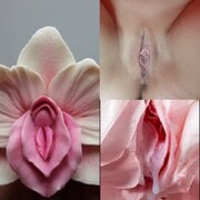 flowers .jpg