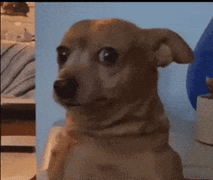 200 (3).gif