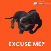 wvkyvYB0novzTzzLjw.gif