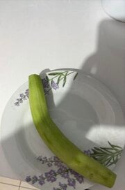 e6b3f9954a78311570d42d960555052c.jpeg