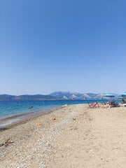 IMG_20260726_154753.jpg