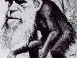 darwin-ape.jpg