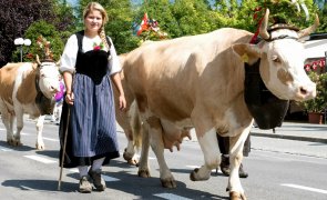 1.august-nationalfeiertag-festumzug-sommer-event.jpg