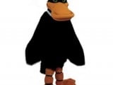 Black Duck.jpg