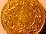 TurkGoldCoinS2.jpg