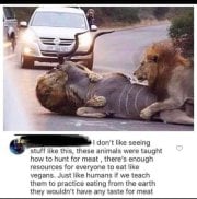 VEGANLIONS.jpg