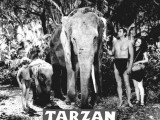 tarzan_john_weissmuller.jpg