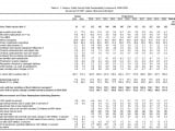 Public Sector Debt Sustainability Framework.JPG