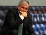 OBRADOVIC.jpg