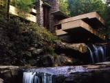 fallingwater.jpg