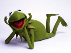 kermit-the-muppets-3206566-1024-768.jpg