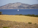 koufonisia 092.jpg