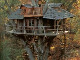 Unusual-Treehouse-8.jpg