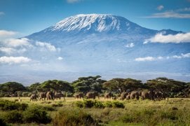 Mount-Kilimanjaro-Pictures-with-Safaris-2846748044.jpg