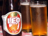 leo-beer.jpg