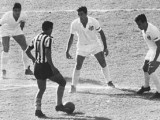 garrincha4.jpg