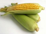 sweet-corn.jpg