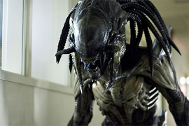 Predalien1.PNG.png