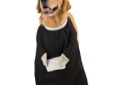 dog priest.jpg