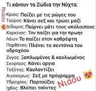 IMG_4964.jpeg