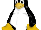 Linux-penguin-huge-704931.jpg