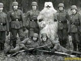 wtf_pictures-yeti-brigade1.jpg