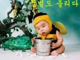 wtf_pics-bee-baby-love.jpg