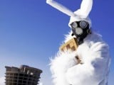 wtf_pics-gas-mask-bunny.jpg