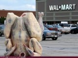 wtf_pics-wal-mart-chicken.jpg