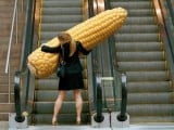 wtf-pics-hide-the-corn.jpg