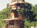 white-trash-repairs-my-neighbors-treehouse.jpg