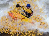 wtf-photos-videos-kayaking-with-the-ducks.jpg