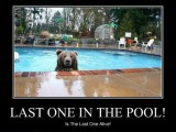 demotivational-posters-last-one-in-the-pool.jpg