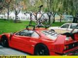 funny-car-photos-at-least-its-not-a-fixie.jpg