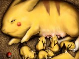 wtf-photos-videos-pika-teats.jpg