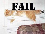 fail_cat.jpg