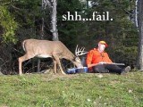 deerfail.jpg