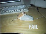 mouse-fail.jpg