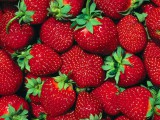 Strawberry-Wallpaper-fruit-6102247-1024-768.jpg