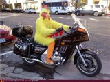 wtf-photos-videos-how-the-chicken-crossed-the-road.jpg